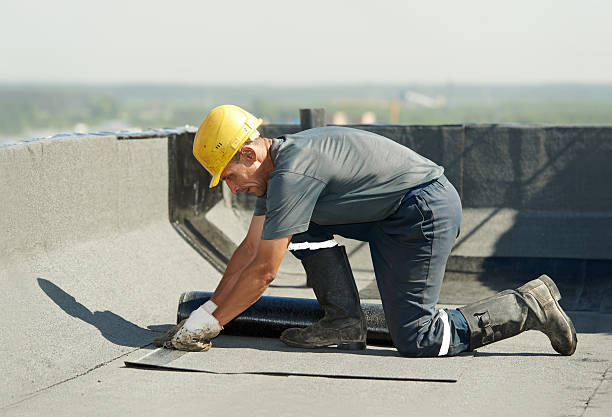 Best Insulation Installation Services in South Jacksonvle, IL